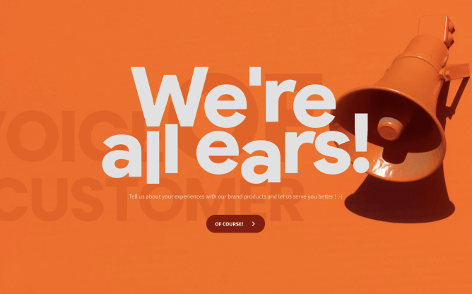  Voice of Customer Survey Template 