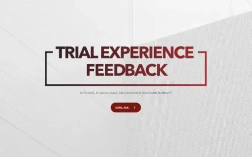 Trial Feedback Form Template Trial Feedback Form Template