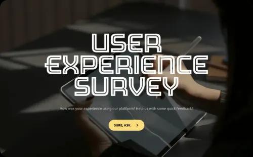 User Experience Survey Template User Experience Survey Template
