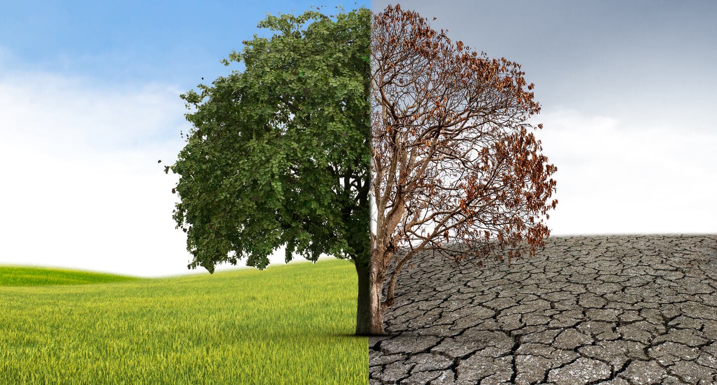 Why Measuring Employee Engagement Is a Matter Of Life And Death In Your Business! Why Measuring Employee Engagement Is a Matter Of Life And Death In Your Business!