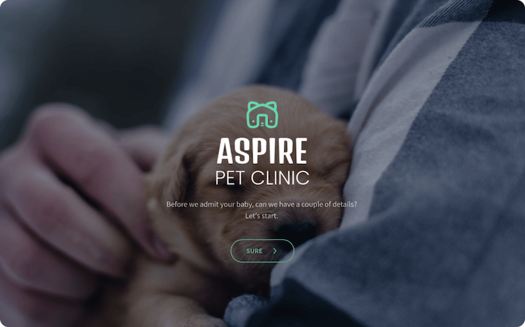 Veterinarian Patient Intake Survey Template Veterinarian Patient Intake Survey Template